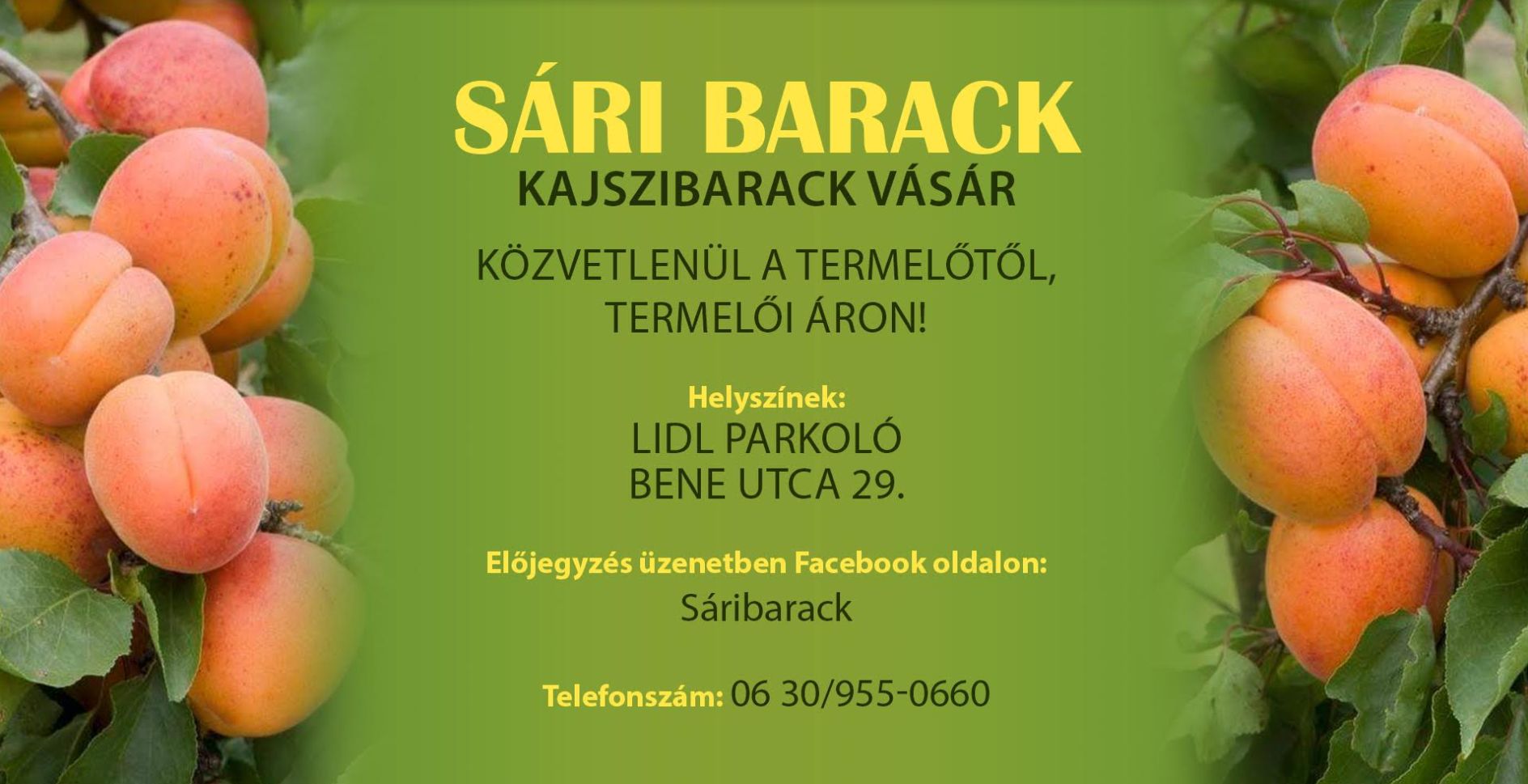 sargabarack